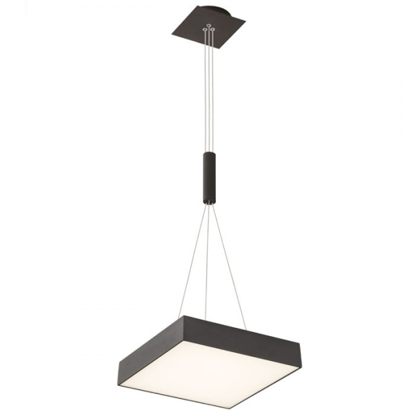 Plafonnier LED LARISA SQ 30 noir 230V LED 30W 3000K